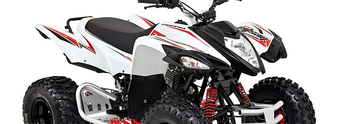 bestia_3_3_offroad_Bild
