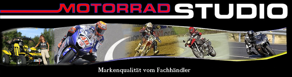 logo11